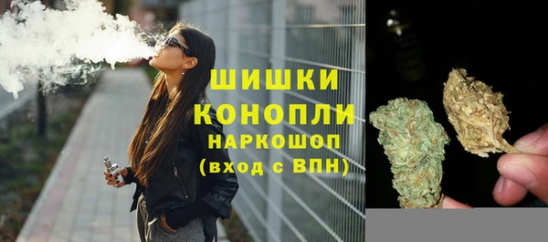 кокс Богородицк