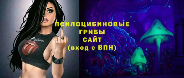 не бодяженный Бородино